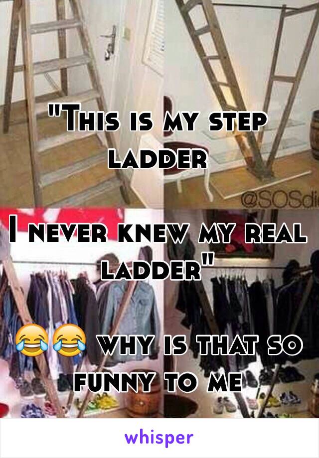 "This is my step ladder 

I never knew my real ladder" 

😂😂 why is that so funny to me 