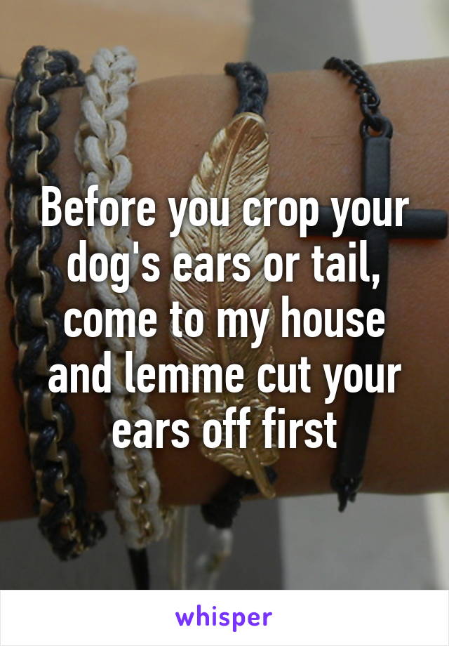 Before you crop your dog's ears or tail, come to my house and lemme cut your ears off first