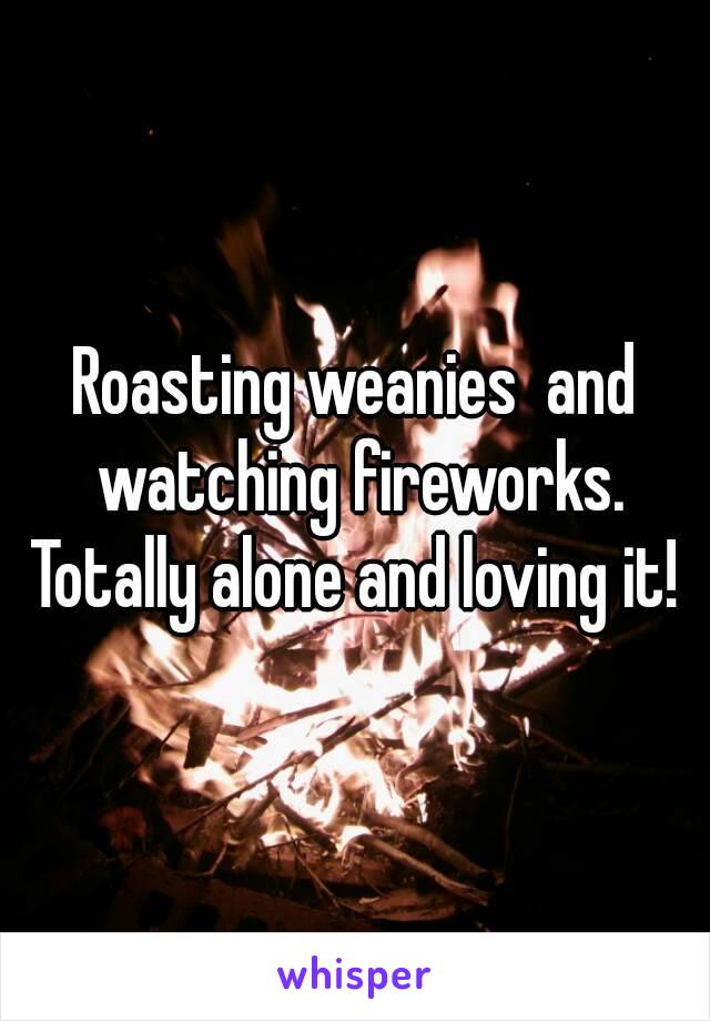 Roasting weanies  and watching fireworks. Totally alone and loving it! 