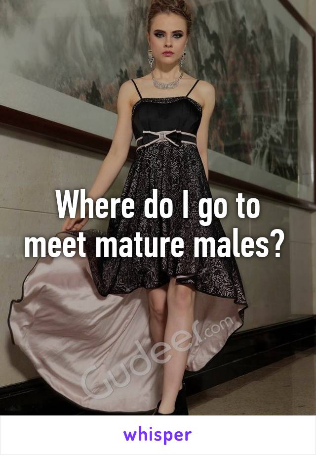 Where do I go to meet mature males? 