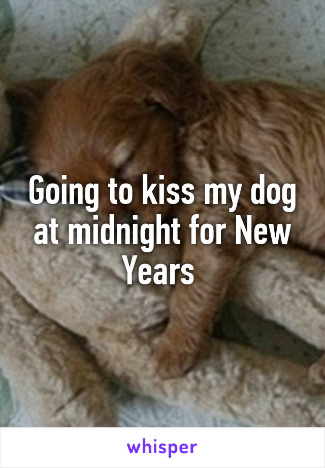 Going to kiss my dog at midnight for New Years 