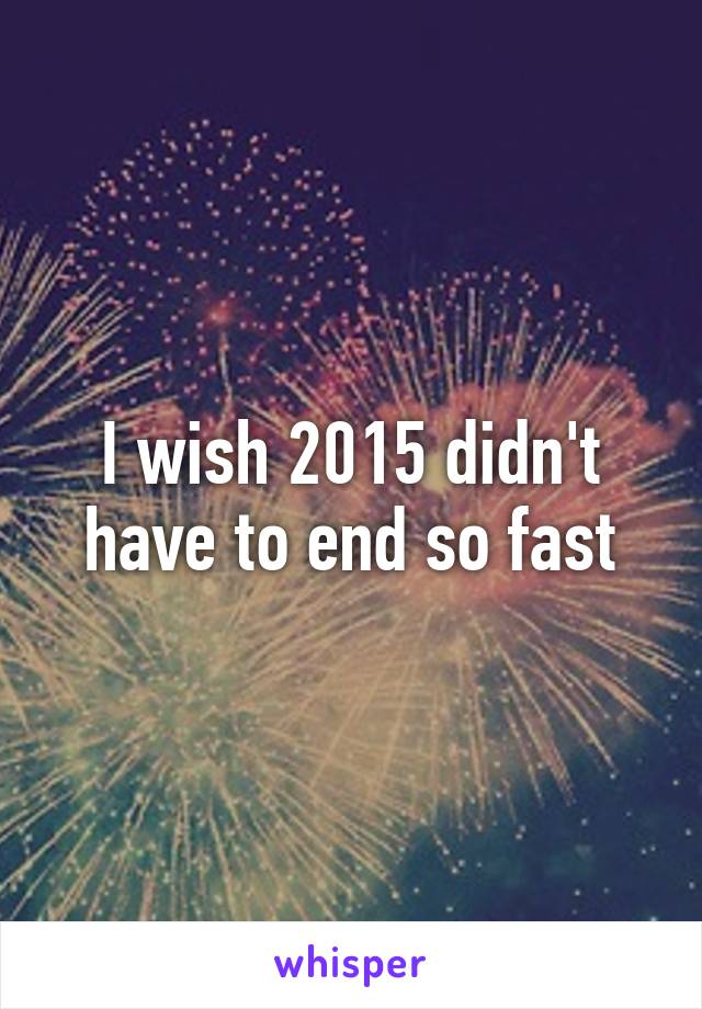 I wish 2015 didn't have to end so fast