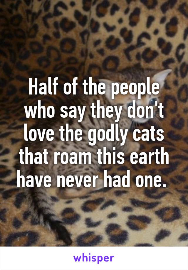 Half of the people who say they don't love the godly cats that roam this earth have never had one. 