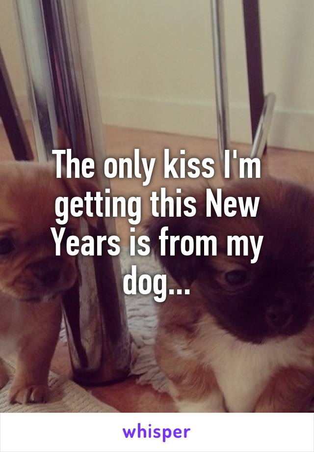 The only kiss I'm getting this New Years is from my dog...