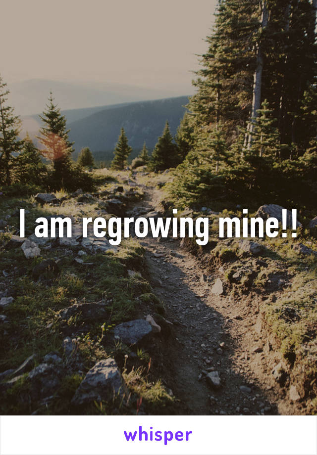 I am regrowing mine!!