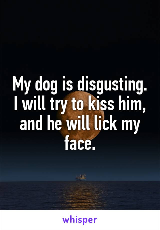 My dog is disgusting. I will try to kiss him, and he will lick my face.