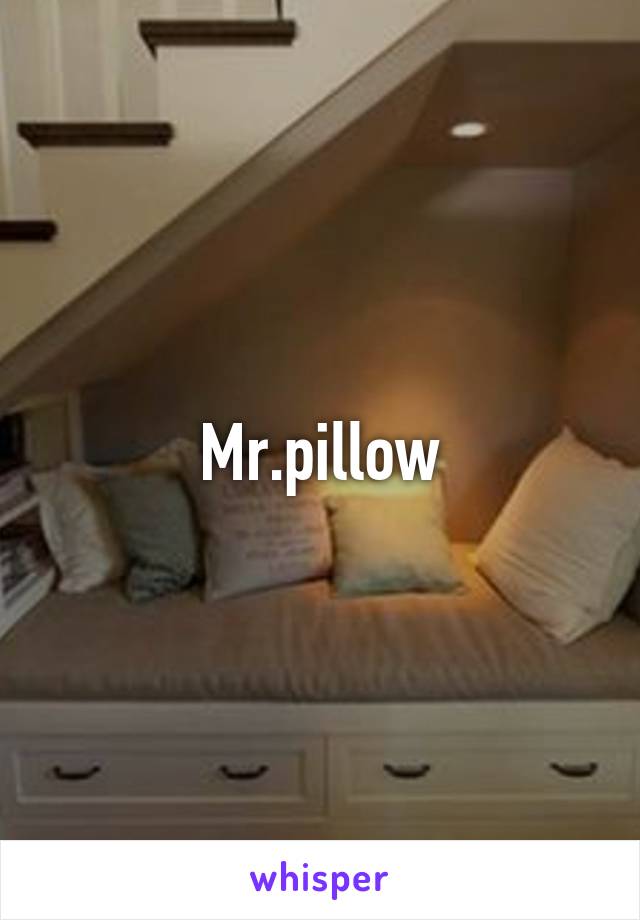 Mr.pillow