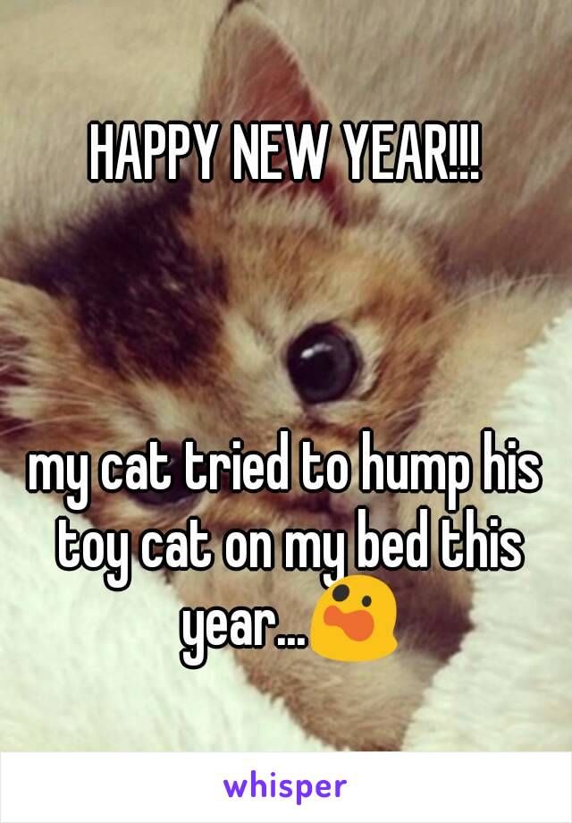 HAPPY NEW YEAR!!!



my cat tried to hump his toy cat on my bed this year...😲