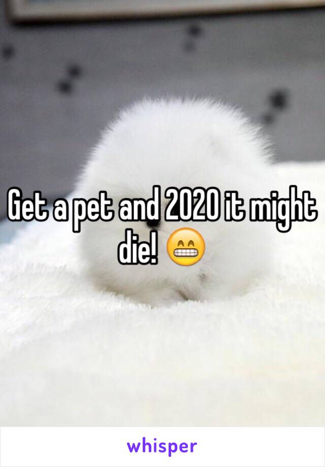 Get a pet and 2020 it might die! 😁