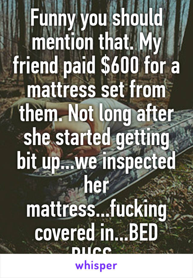 Funny you should mention that. My friend paid $600 for a mattress set from them. Not long after she started getting bit up...we inspected her mattress...fucking covered in...BED BUGS. 