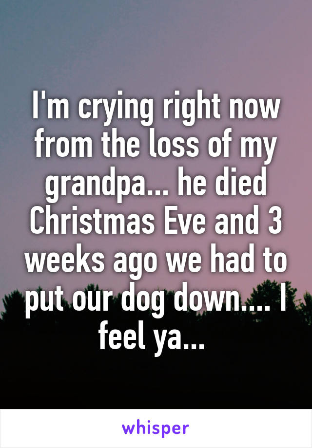 I'm crying right now from the loss of my grandpa... he died Christmas Eve and 3 weeks ago we had to put our dog down.... I feel ya... 