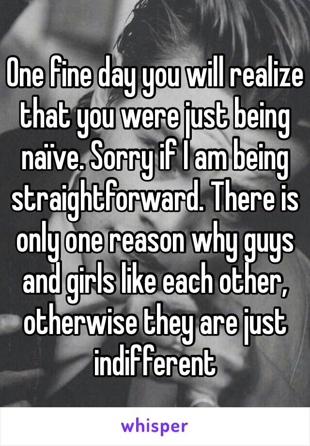 One fine day you will realize that you were just being naïve. Sorry if I am being straightforward. There is only one reason why guys and girls like each other, otherwise they are just indifferent 