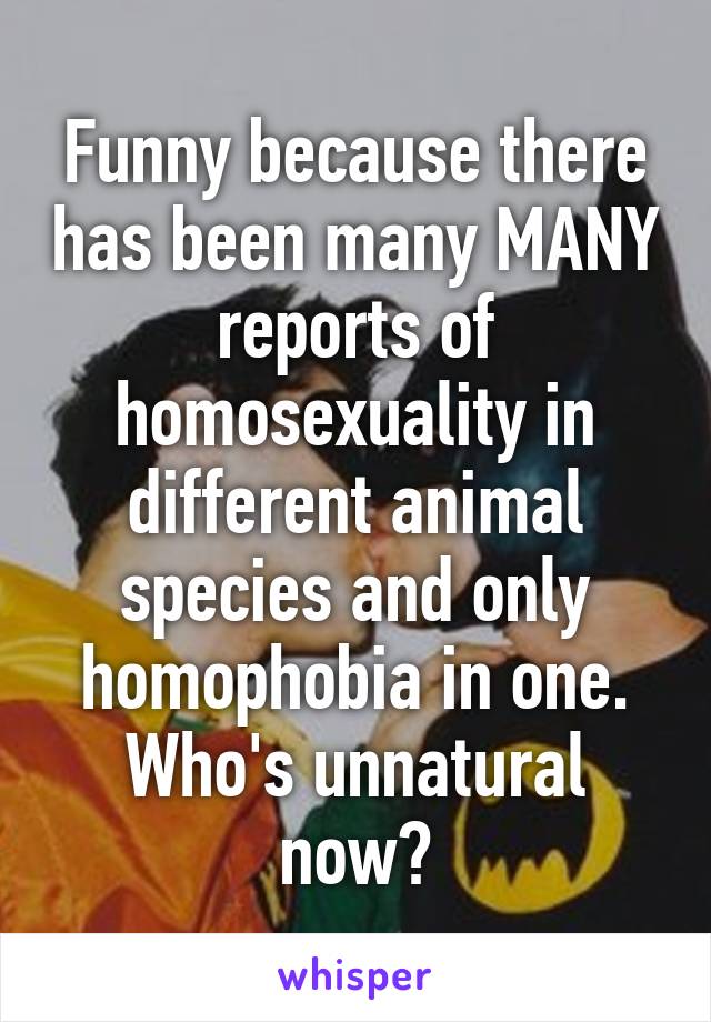 Funny because there has been many MANY reports of homosexuality in different animal species and only homophobia in one. Who's unnatural now?