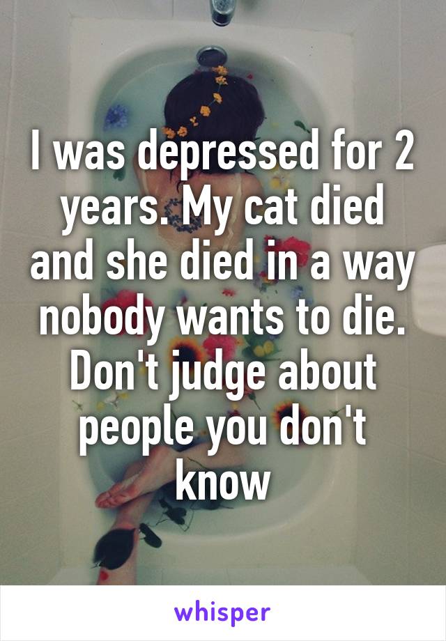 I was depressed for 2 years. My cat died and she died in a way nobody wants to die. Don't judge about people you don't know