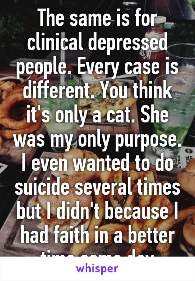 The same is for clinical depressed people. Every case is different. You think it's only a cat. She was my only purpose. I even wanted to do suicide several times but I didn't because I had faith in a better time some day