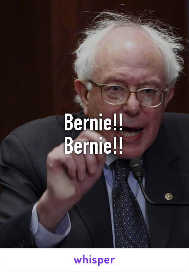 Bernie!!
Bernie!!