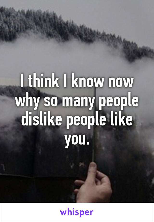 I think I know now why so many people dislike people like you.