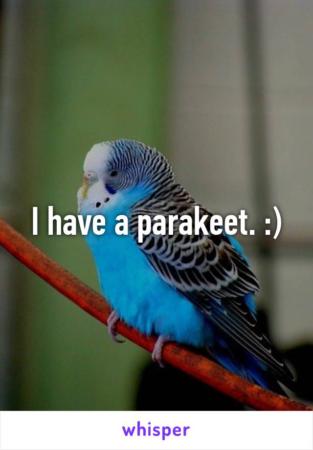 I have a parakeet. :)