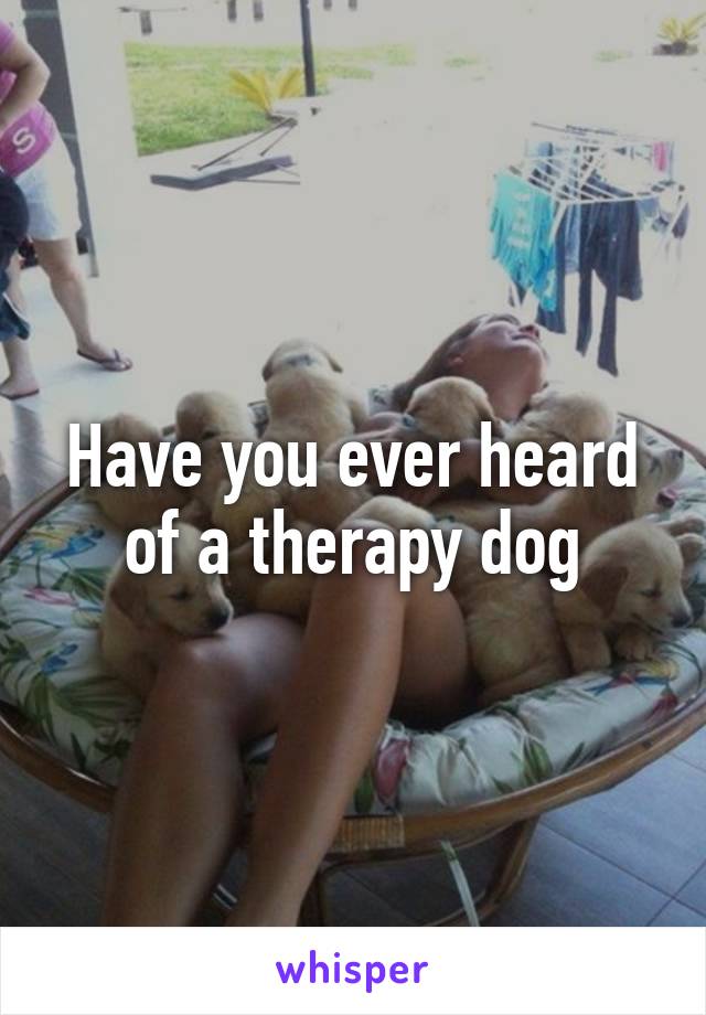 Have you ever heard of a therapy dog