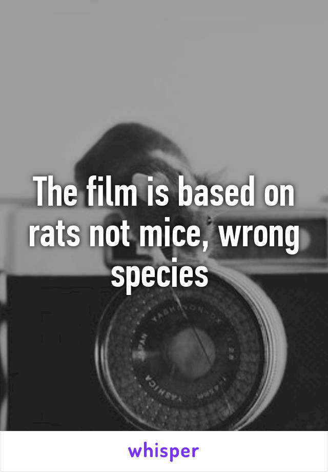 The film is based on rats not mice, wrong species 