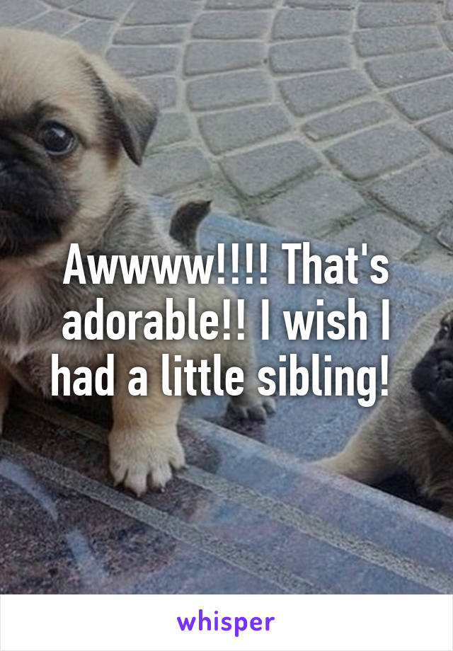 Awwww!!!! That's adorable!! I wish I had a little sibling! 