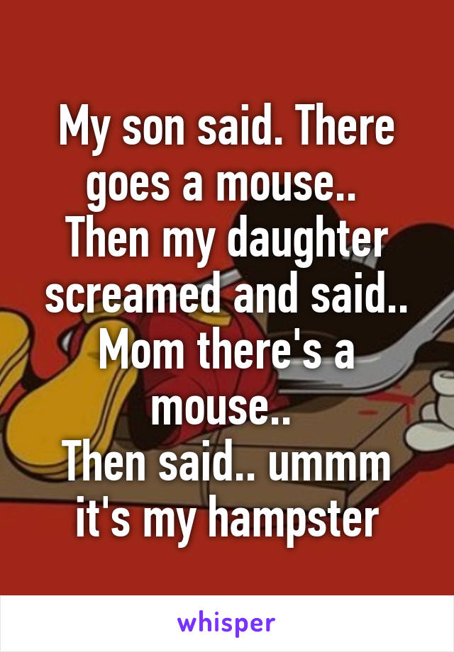 My son said. There goes a mouse.. 
Then my daughter screamed and said.. Mom there's a mouse.. 
Then said.. ummm it's my hampster