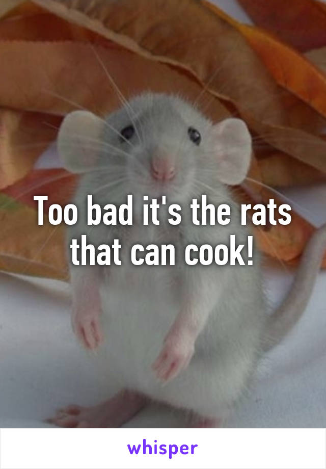 Too bad it's the rats that can cook!