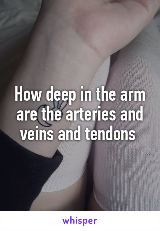 How deep in the arm are the arteries and veins and tendons 