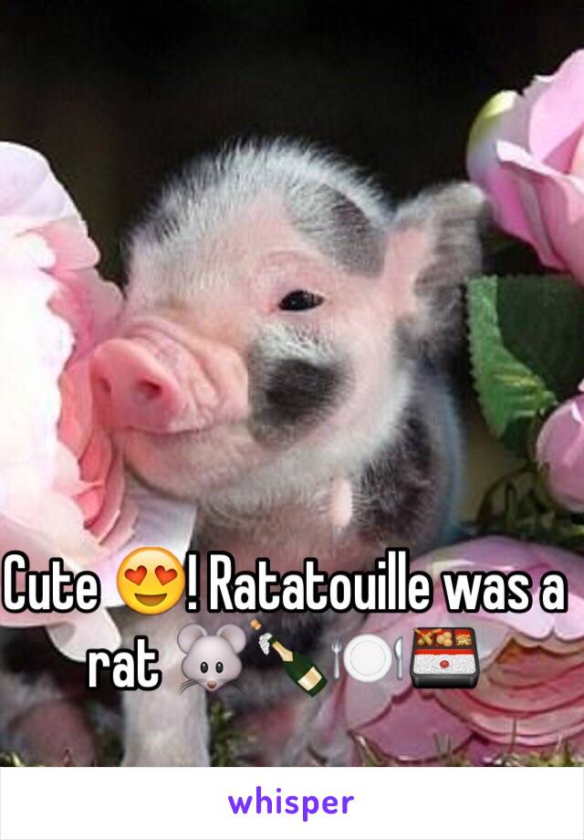 Cute 😍! Ratatouille was a rat 🐭🍾🍽🍱