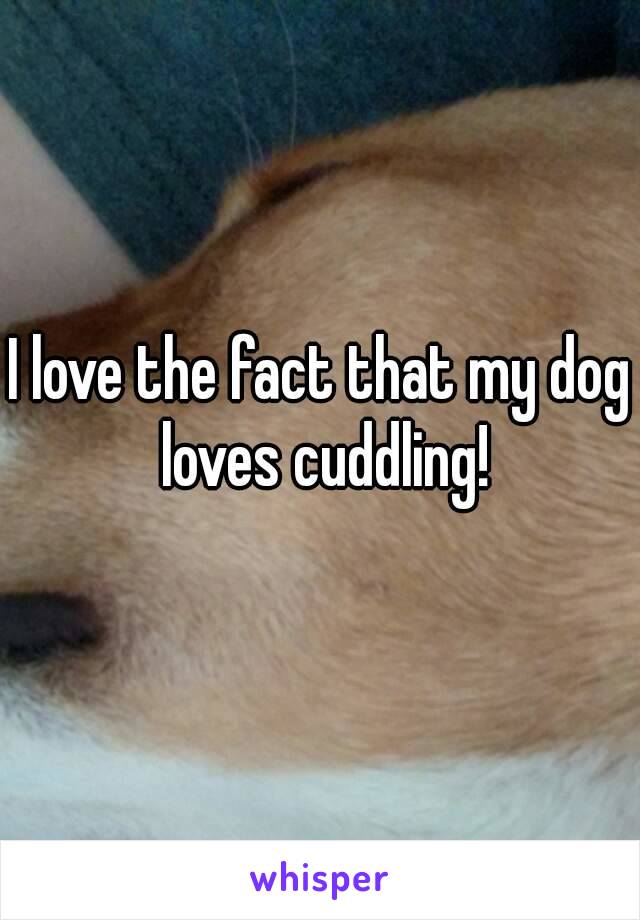 I love the fact that my dog loves cuddling!
