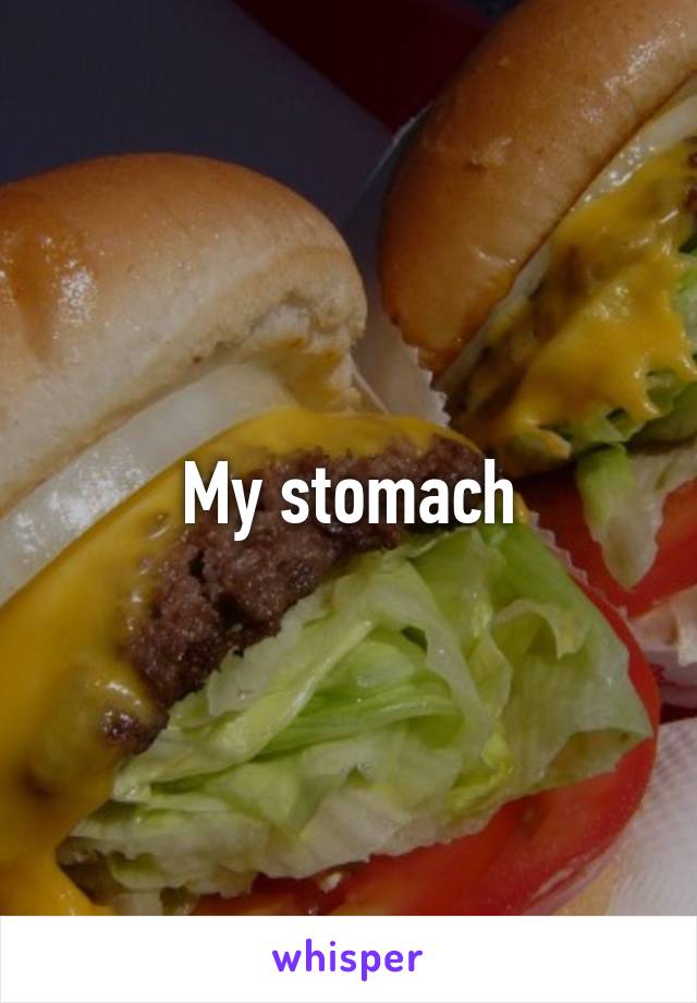My stomach