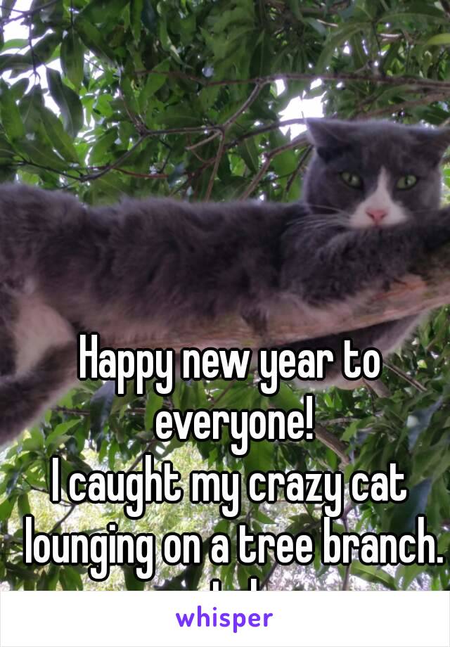 Happy new year to everyone!
I caught my crazy cat lounging on a tree branch. Lol