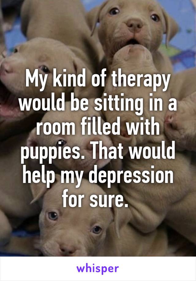 My kind of therapy would be sitting in a room filled with puppies. That would help my depression for sure. 