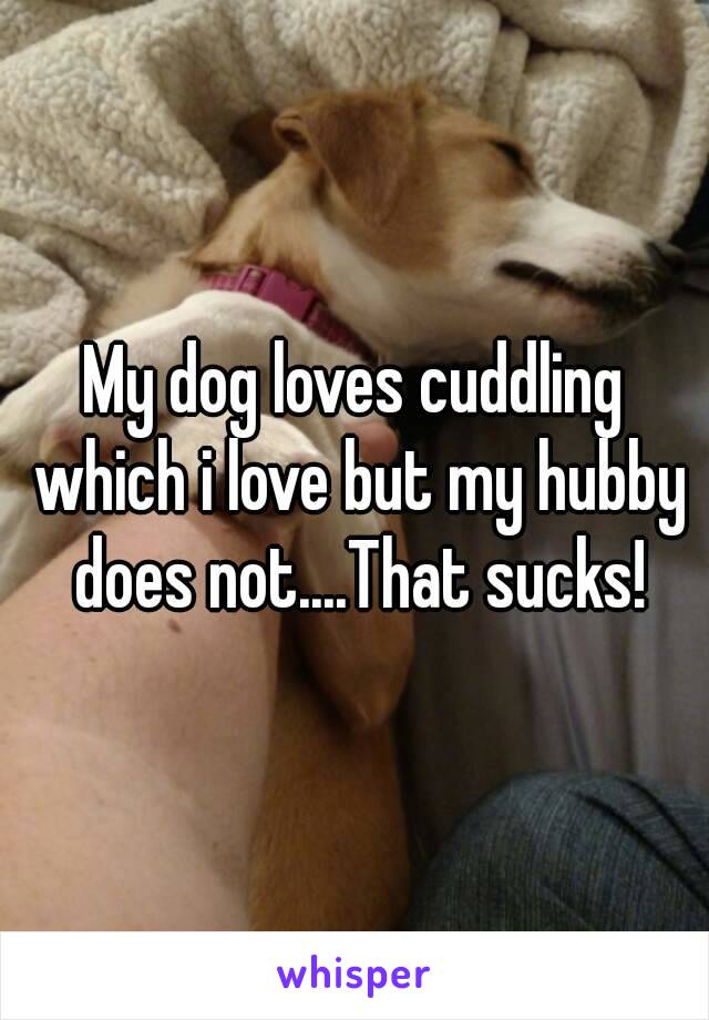 My dog loves cuddling which i love but my hubby does not....That sucks!