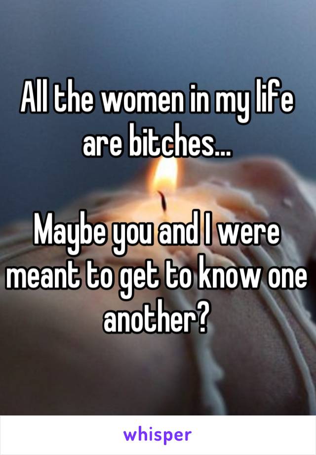 All the women in my life are bitches…

Maybe you and I were meant to get to know one another?