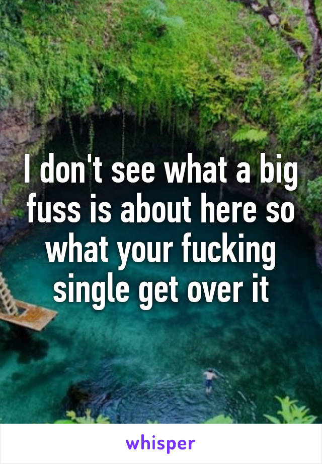 I don't see what a big fuss is about here so what your fucking single get over it
