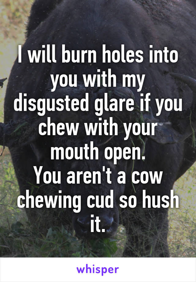 I will burn holes into you with my disgusted glare if you chew with your mouth open.
You aren't a cow chewing cud so hush it.