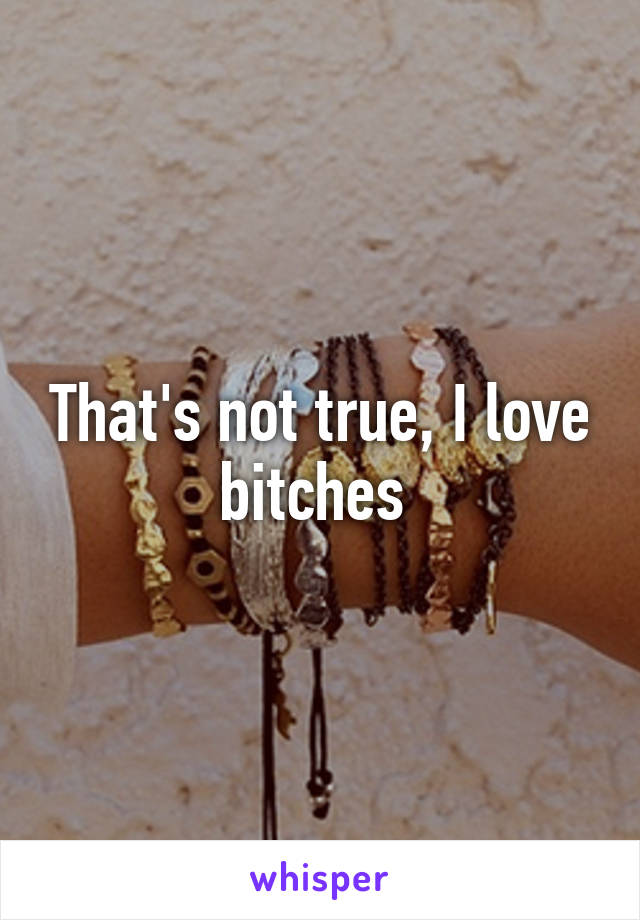 That's not true, I love bitches 