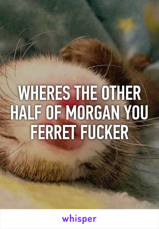 WHERES THE OTHER HALF OF MORGAN YOU FERRET FUCKER
