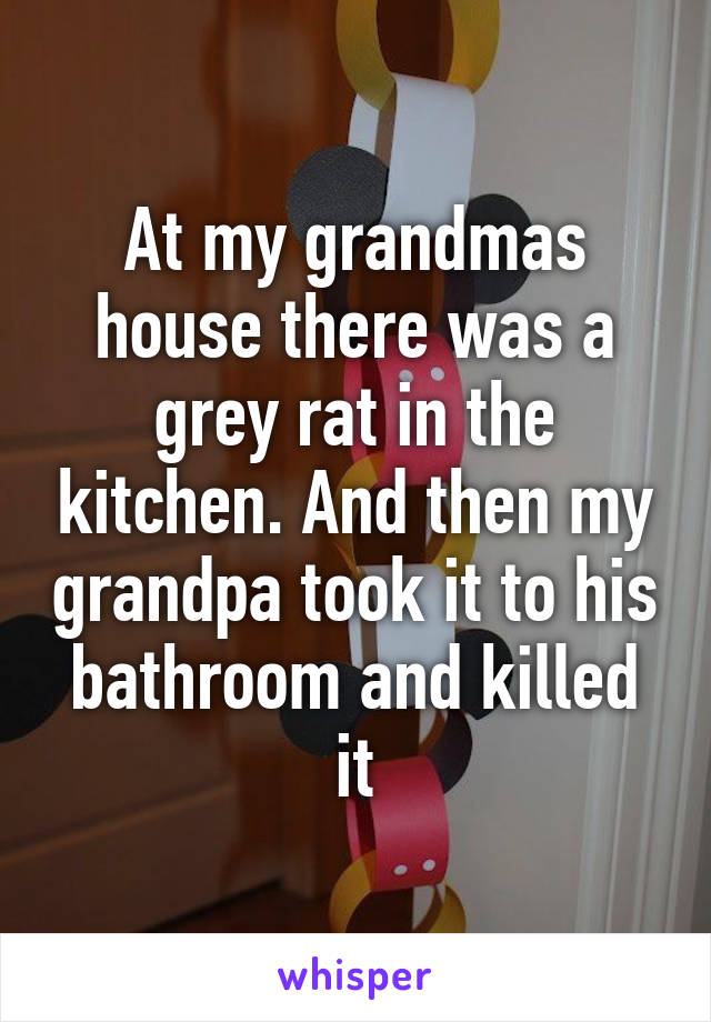 At my grandmas house there was a grey rat in the kitchen. And then my grandpa took it to his bathroom and killed it