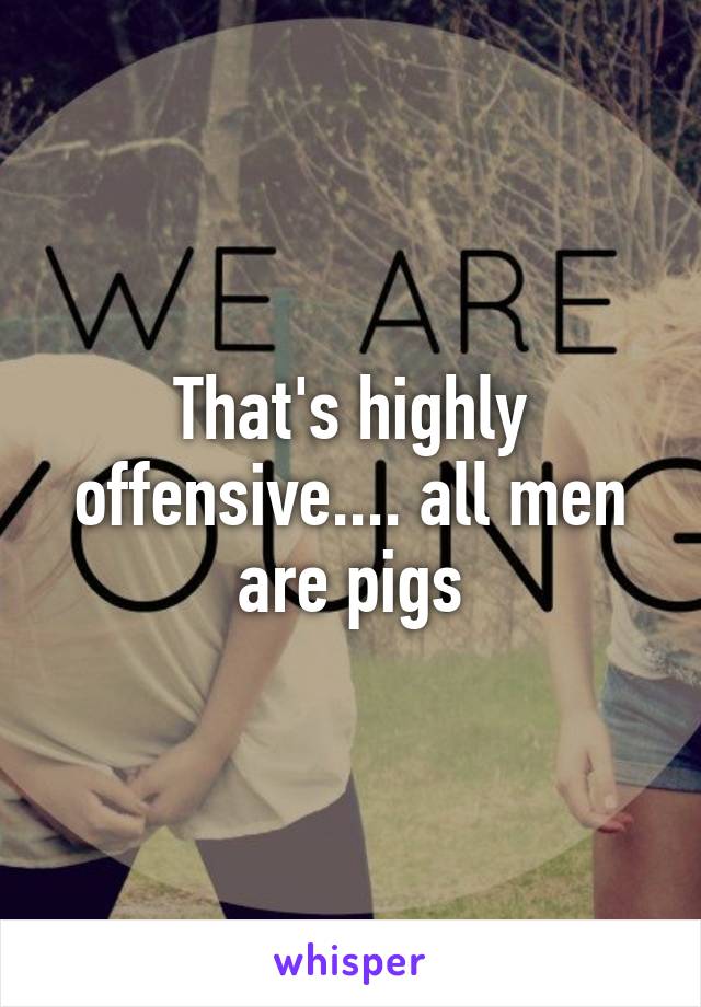 That's highly offensive.... all men are pigs