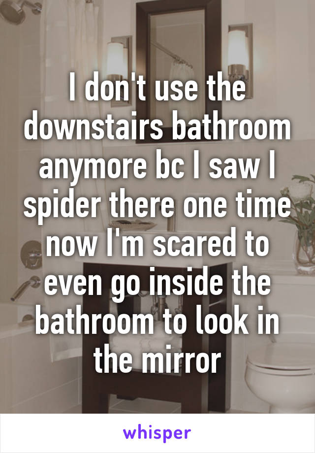 I don't use the downstairs bathroom anymore bc I saw I spider there one time now I'm scared to even go inside the bathroom to look in the mirror