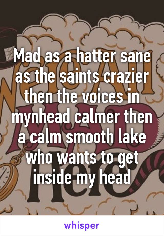 Mad as a hatter sane as the saints crazier then the voices in mynhead calmer then a calm smooth lake who wants to get inside my head