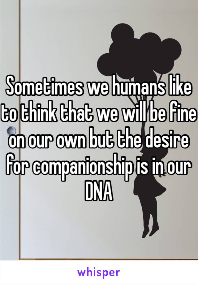 Sometimes we humans like to think that we will be fine on our own but the desire for companionship is in our DNA 