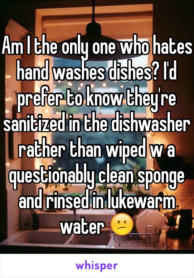 Am I the only one who hates hand washes dishes? I'd prefer to know they're sanitized in the dishwasher rather than wiped w a questionably clean sponge and rinsed in lukewarm water 😕