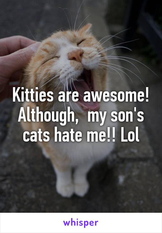 Kitties are awesome! Although,  my son's cats hate me!! Lol