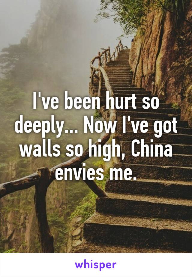 I've been hurt so deeply... Now I've got walls so high, China envies me.