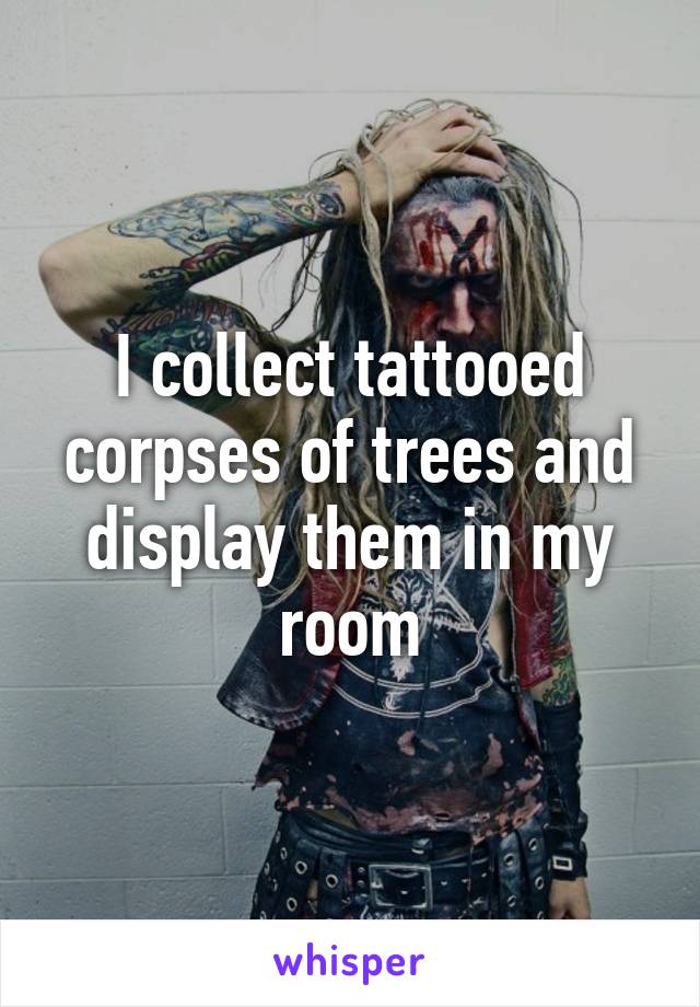 I collect tattooed corpses of trees and display them in my room