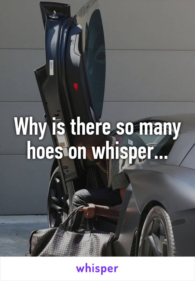 Why is there so many hoes on whisper...