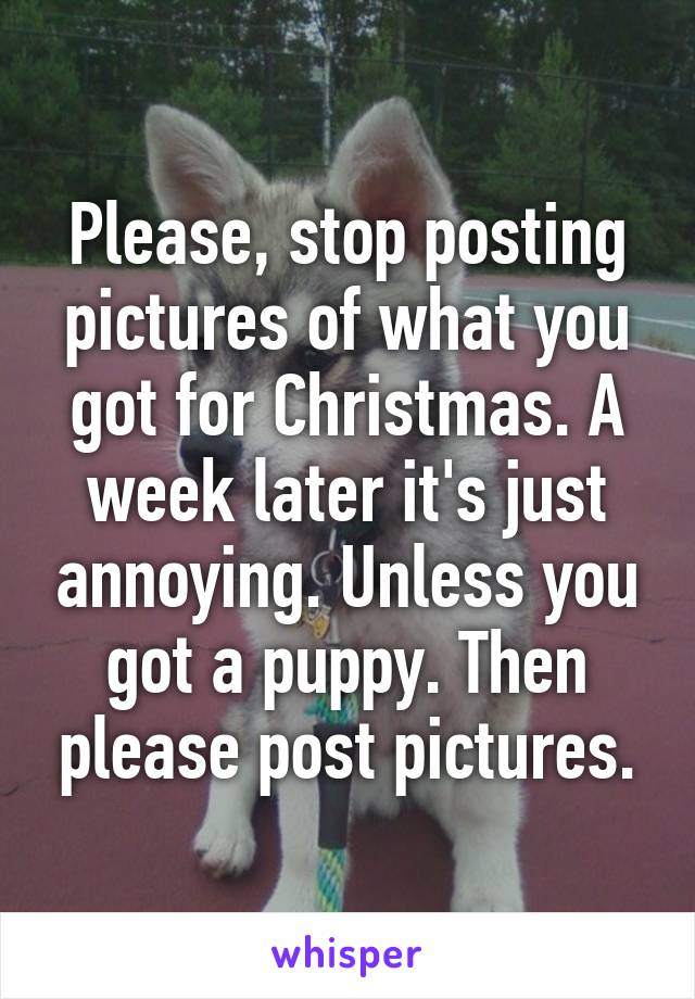 Please, stop posting pictures of what you got for Christmas. A week later it's just annoying. Unless you got a puppy. Then please post pictures.